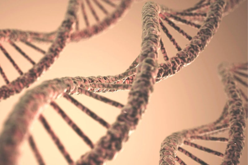 El conocimiento completo del genoma humano nos ayudará a conocernos más para cuidarnos mejor